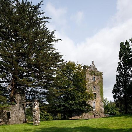 Villa Dripsey Castle Estate à Cork Extérieur photo