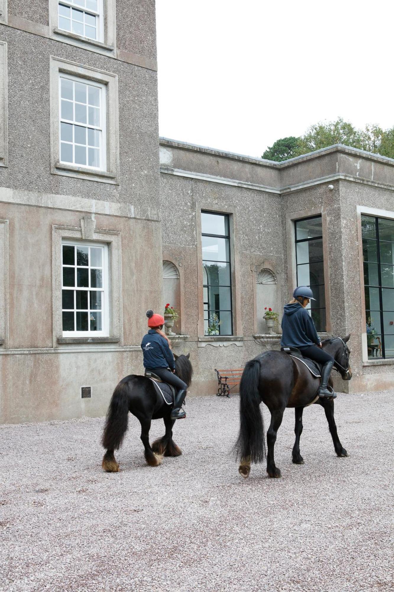 Villa Dripsey Castle Estate à Cork Extérieur photo