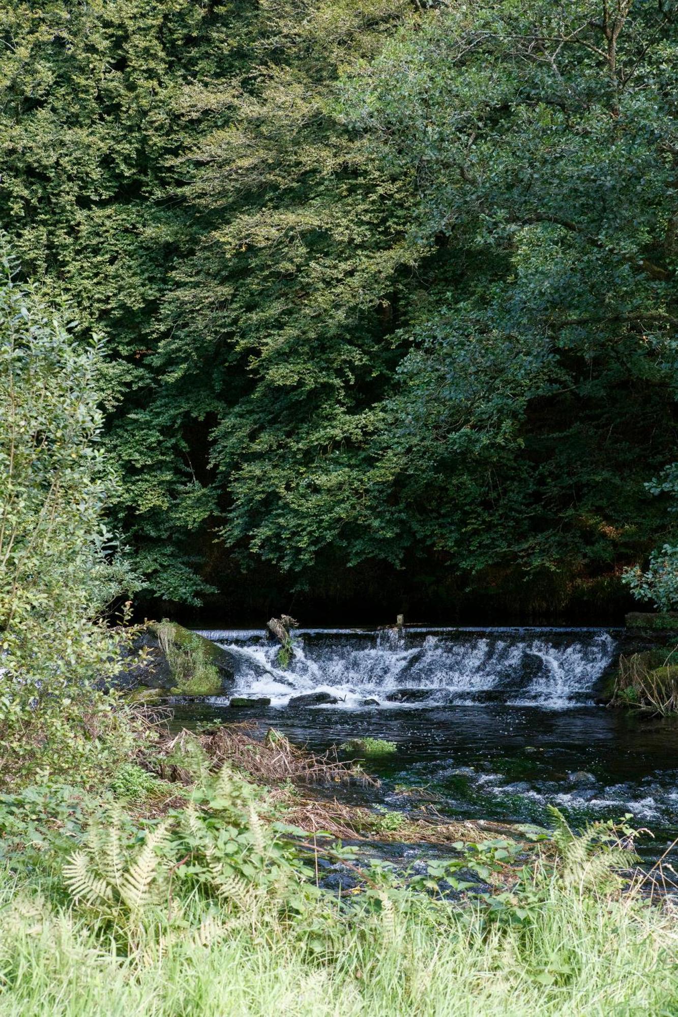Villa Dripsey Castle Estate à Cork Extérieur photo