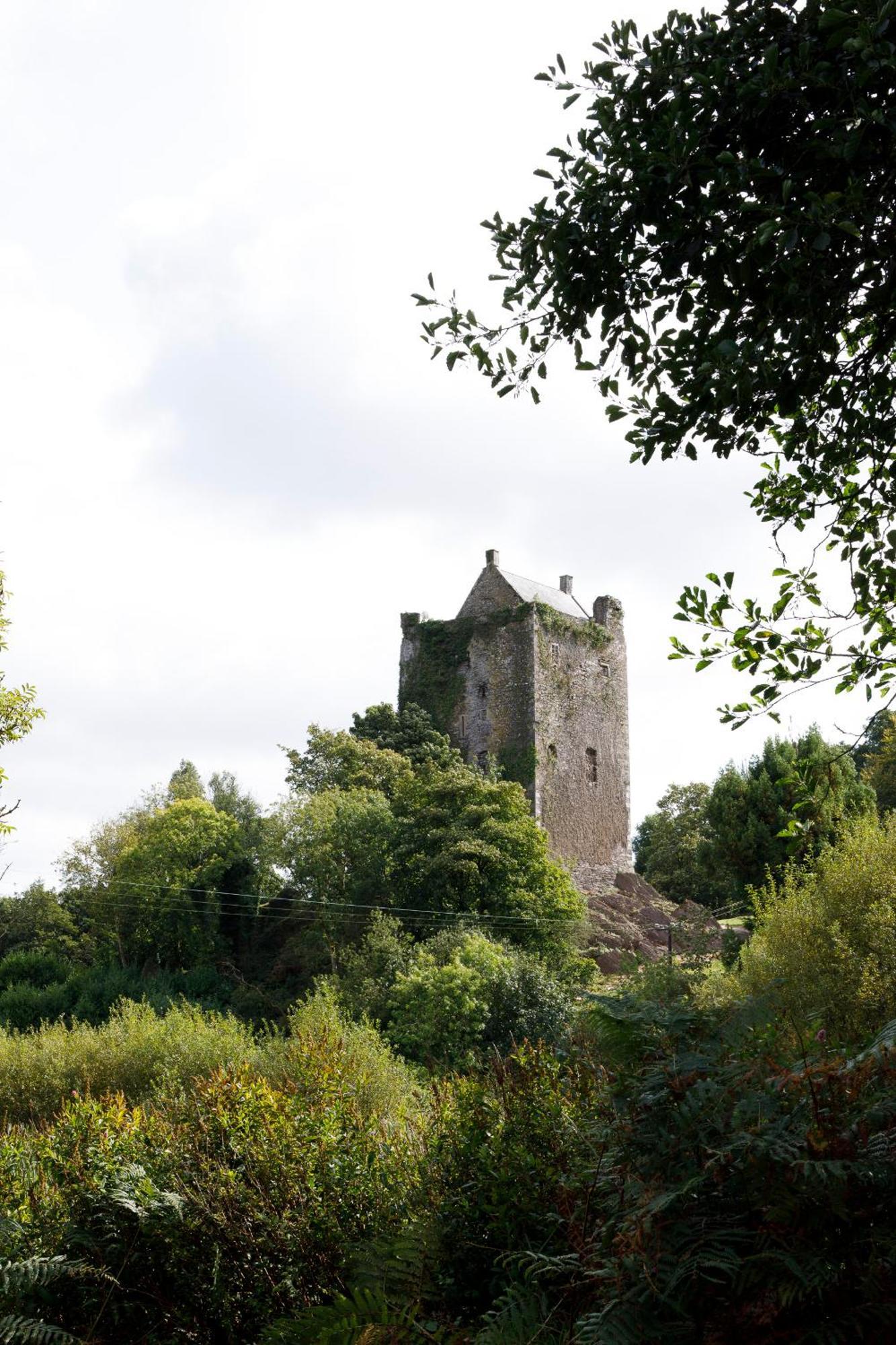 Villa Dripsey Castle Estate à Cork Extérieur photo