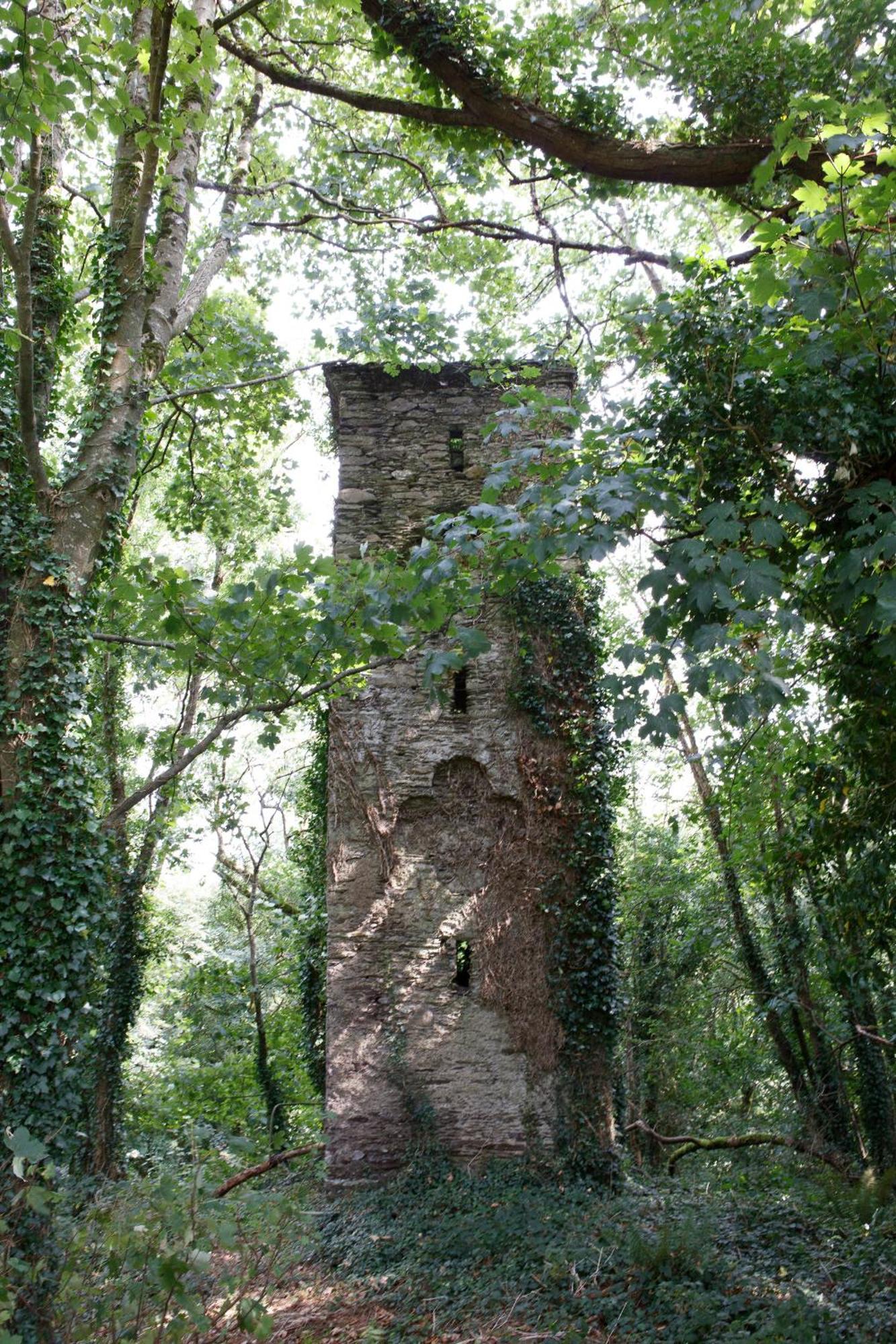 Villa Dripsey Castle Estate à Cork Extérieur photo