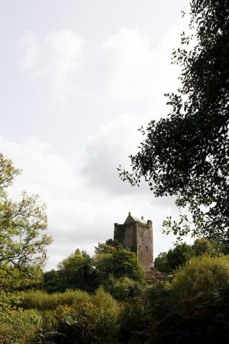 Villa Dripsey Castle Estate à Cork Extérieur photo